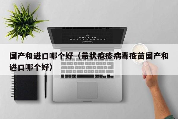 国产和进口哪个好(带状疱疹病毒疫苗国产和进口哪个好)