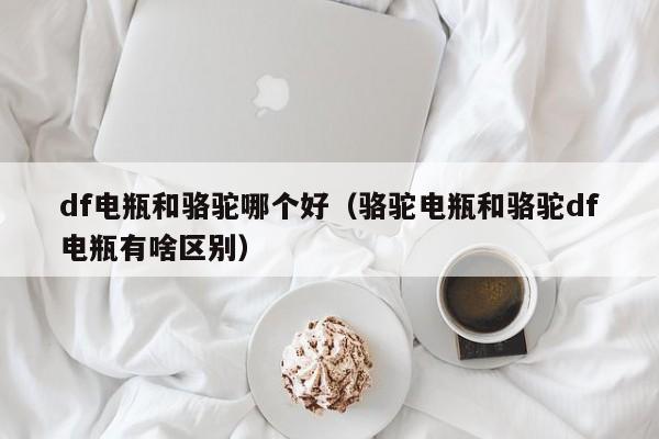 df电瓶和骆驼哪个好(骆驼电瓶和骆驼df电瓶有啥区别)