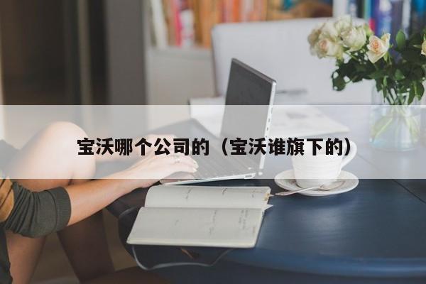 宝沃哪个公司的(宝沃谁旗下的)