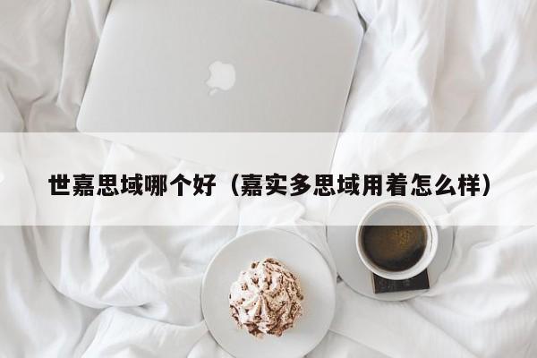 世嘉思域哪个好(嘉实多思域用着怎么样)