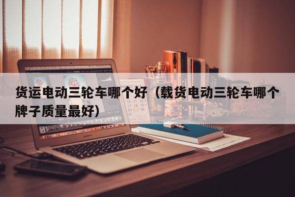 货运电动三轮车哪个好(载货电动三轮车哪个牌子质量最好)