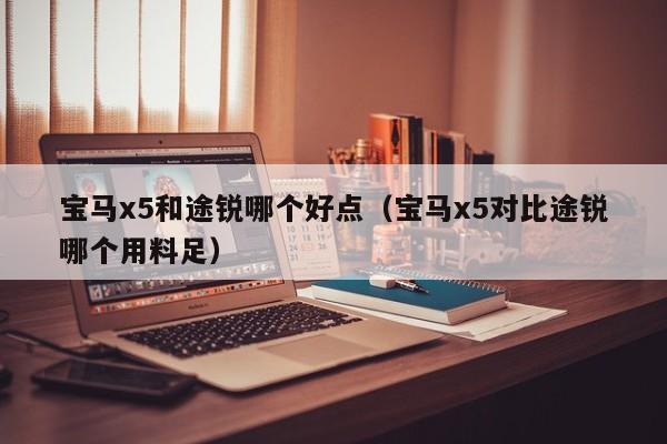 宝马x5和途锐哪个好点(宝马x5对比途锐哪个用料足)