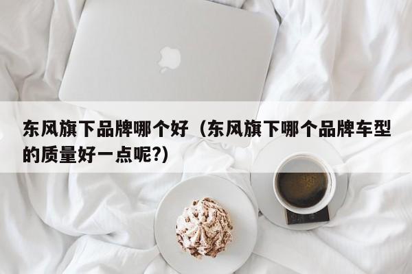 东风旗下品牌哪个好(东风旗下哪个品牌车型的质量好一点呢?)
