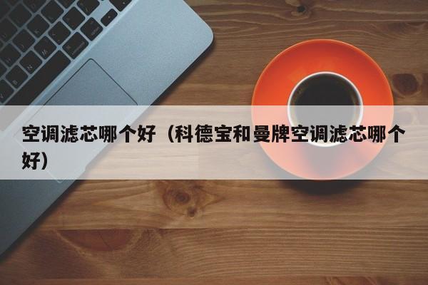 空调滤芯哪个好(科德宝和曼牌空调滤芯哪个好)