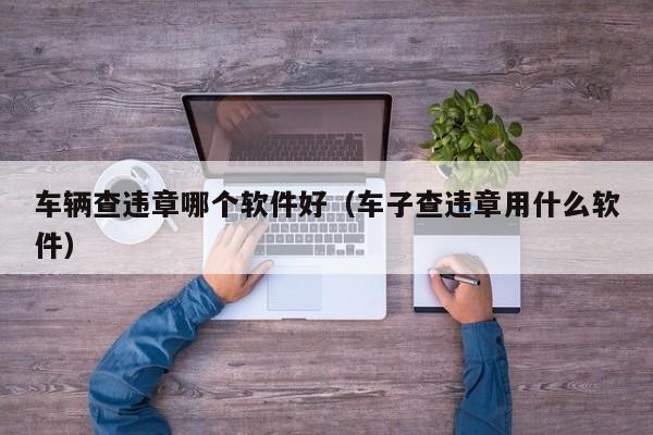 车辆查违章哪个软件好(车子查违章用什么软件)