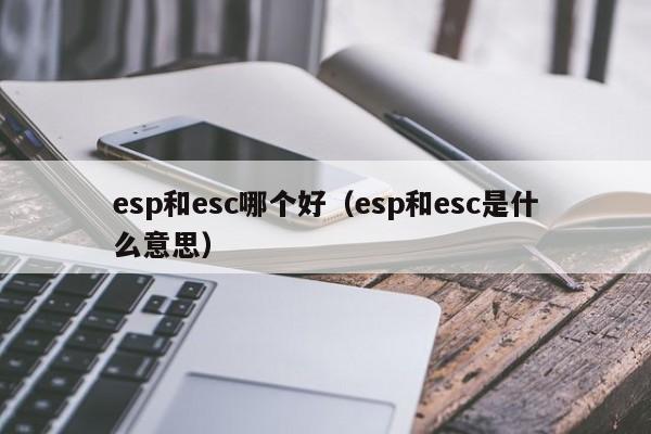 esp和esc哪个好(esp和esc是什么意思)