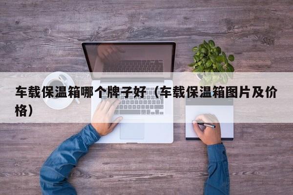 车载保温箱哪个牌子好(车载保温箱图片及价格)