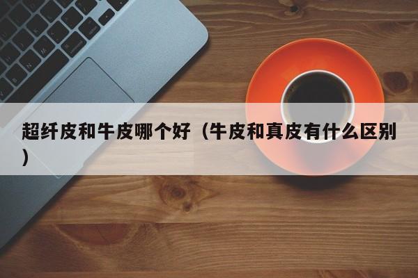 超纤皮和牛皮哪个好(牛皮和真皮有什么区别)