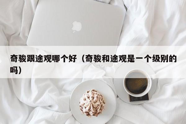 奇骏跟途观哪个好(奇骏和途观是一个级别的吗)