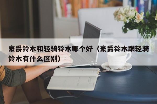 豪爵铃木和轻骑铃木哪个好(豪爵铃木跟轻骑铃木有什么区别)