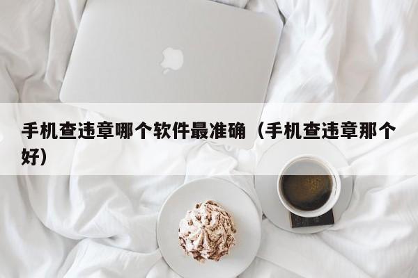 手机查违章哪个软件最准确(手机查违章那个好)