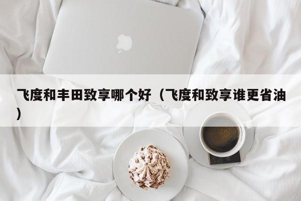 飞度和丰田致享哪个好(飞度和致享谁更省油)