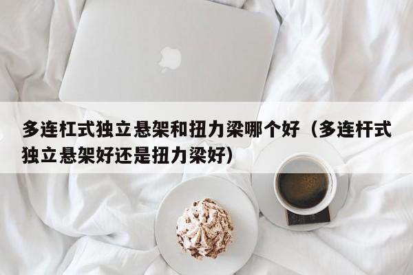 多连杠式独立悬架和扭力梁哪个好(多连杆式独立悬架好还是扭力梁好)