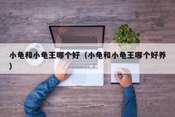 小龟和小龟王哪个好(小龟和小龟王哪个好养)