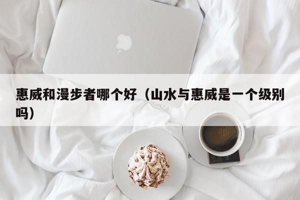 惠威和漫步者哪个好(山水与惠威是一个级别吗)
