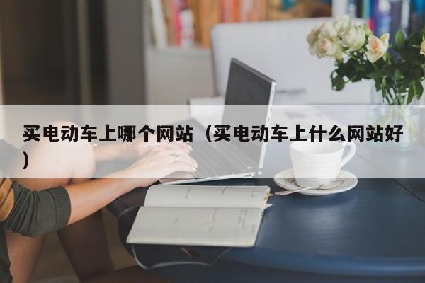 买电动车上哪个网站(买电动车上什么网站好)