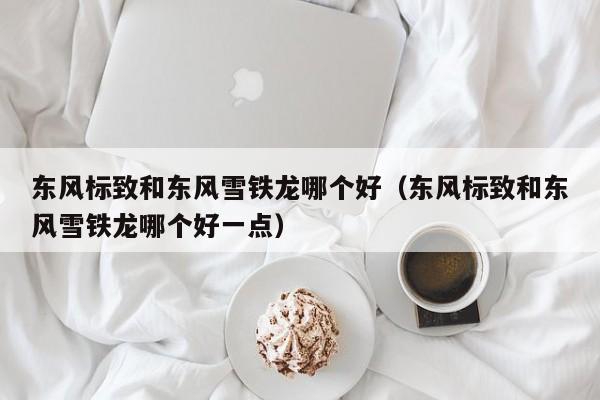 东风标致和东风雪铁龙哪个好(东风标致和东风雪铁龙哪个好一点)