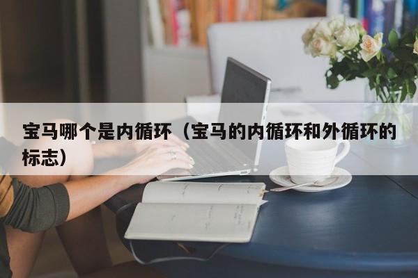 宝马哪个是内循环(宝马的内循环和外循环的标志)