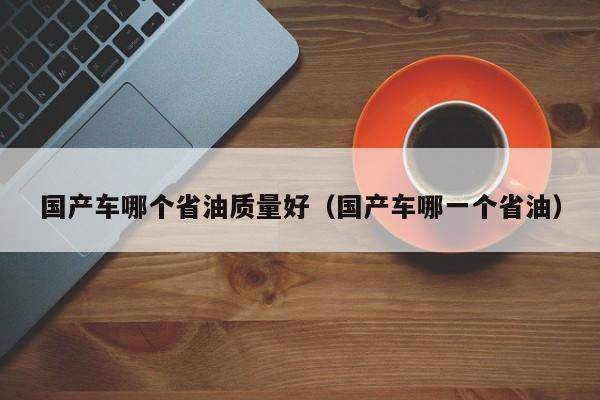 国产车哪个省油质量好(国产车哪一个省油)