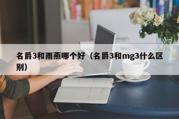 名爵3和雨燕哪个好(名爵3和mg3什么区别)