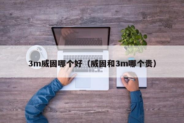 3m威固哪个好(威固和3m哪个贵)