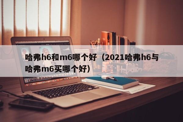 哈弗h6和m6哪个好(2021哈弗h6与哈弗m6买哪个好)