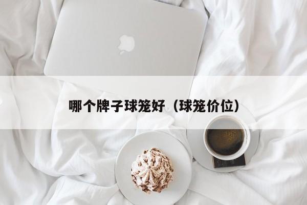 哪个牌子球笼好(球笼价位)