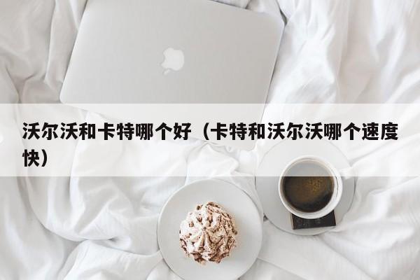 沃尔沃和卡特哪个好(卡特和沃尔沃哪个速度快)