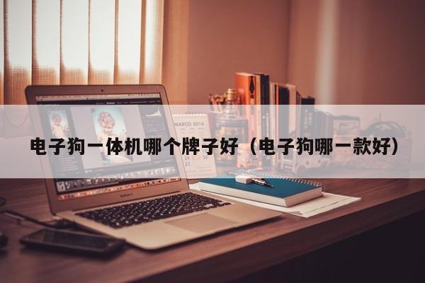 电子狗一体机哪个牌子好(电子狗哪一款好)