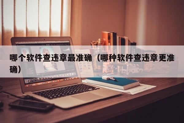 哪个软件查违章最准确（哪种软件查违章更准确）