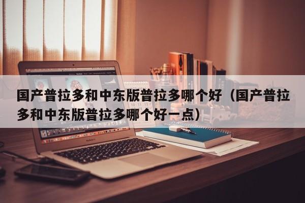 国产普拉多和中东版普拉多哪个好(国产普拉多和中东版普拉多哪个好一点)