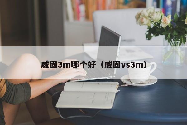 威固3m哪个好（威固vs3m）