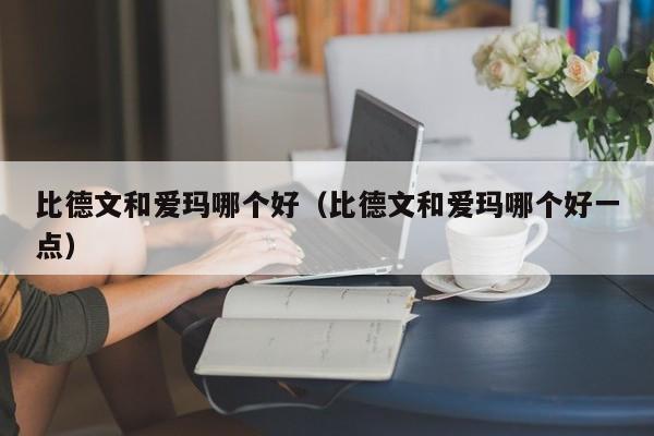 比德文和爱玛哪个好(比德文和爱玛哪个好一点)