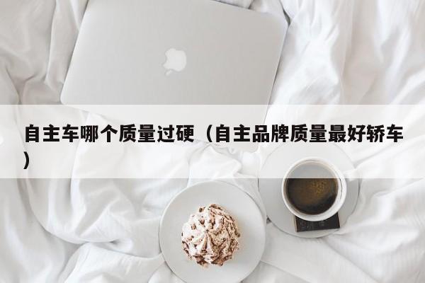自主车哪个质量过硬(自主品牌质量最好轿车)