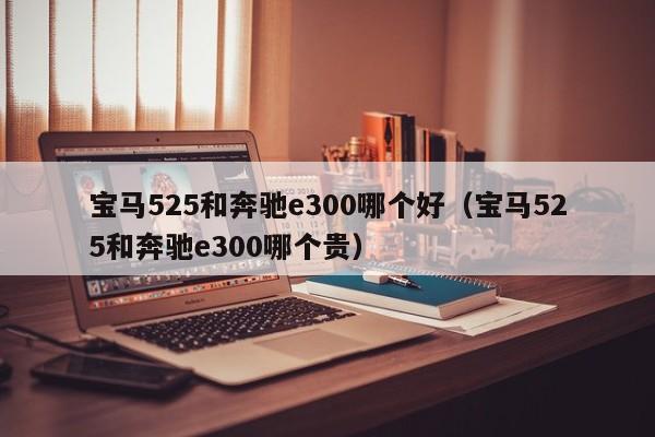 宝马525和奔驰e300哪个好（宝马525和奔驰e300哪个贵）