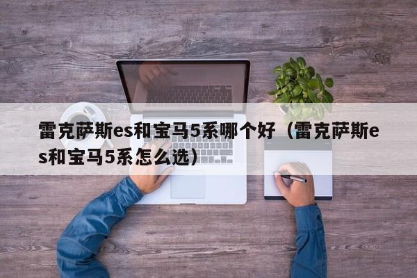雷克萨斯es和宝马5系哪个好(雷克萨斯es和宝马5系怎么选)