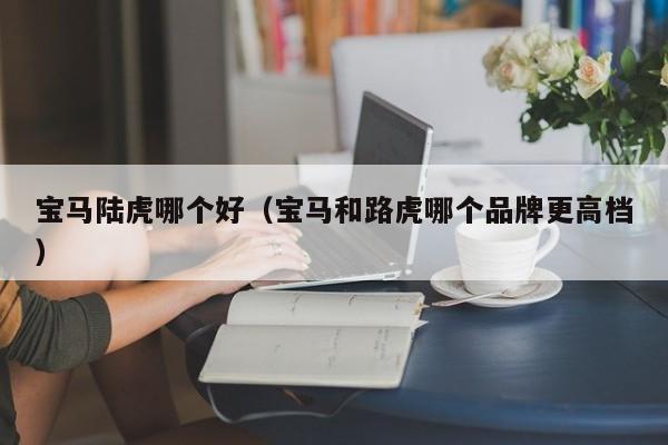 宝马陆虎哪个好(宝马和路虎哪个品牌更高档)