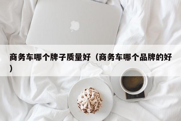 商务车哪个牌子质量好(商务车哪个品牌的好)