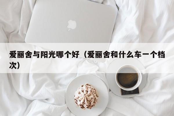 爱丽舍与阳光哪个好(爱丽舍和什么车一个档次)
