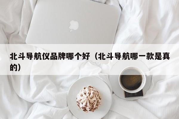 北斗导航仪品牌哪个好(北斗导航哪一款是真的)