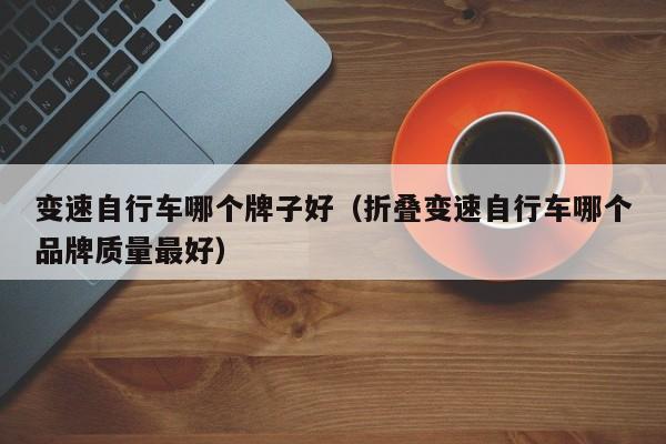 变速自行车哪个牌子好(折叠变速自行车哪个品牌质量最好)