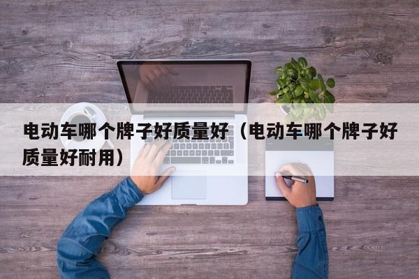 电动车哪个牌子好质量好(电动车哪个牌子好质量好耐用)