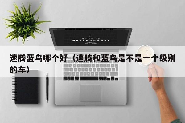 速腾蓝鸟哪个好(速腾和蓝鸟是不是一个级别的车)