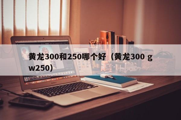 黄龙300和250哪个好(黄龙300 gw250)