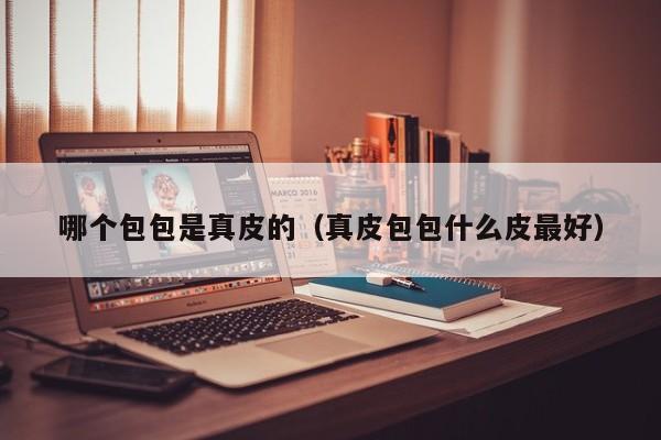 哪个包包是真皮的(真皮包包什么皮最好)
