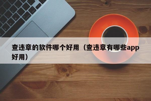 查违章的软件哪个好用(查违章有哪些app好用)